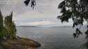 ./images/koeye/fitz-hugh/20250628/fitz-hugh20250628_100508M.jpg