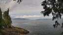 ./images/koeye/fitz-hugh/20250628/fitz-hugh20250628_101010M.jpg