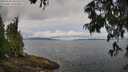 ./images/koeye/fitz-hugh/20250628/fitz-hugh20250628_101510M.jpg