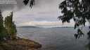 ./images/koeye/fitz-hugh/20250628/fitz-hugh20250628_102510M.jpg