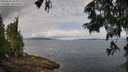 ./images/koeye/fitz-hugh/20250628/fitz-hugh20250628_103012M.jpg