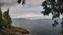 ./images/koeye/fitz-hugh/20250628/fitz-hugh20250628_103507M.jpg