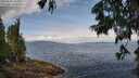 ./images/koeye/fitz-hugh/20250628/fitz-hugh20250628_105010M.jpg