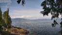 ./images/koeye/fitz-hugh/20250628/fitz-hugh20250628_110011M.jpg