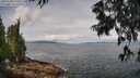 ./images/koeye/fitz-hugh/20250628/fitz-hugh20250628_111511M.jpg