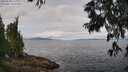 ./images/koeye/fitz-hugh/20250628/fitz-hugh20250628_112009M.jpg