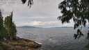 ./images/koeye/fitz-hugh/20250628/fitz-hugh20250628_113012M.jpg