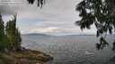 ./images/koeye/fitz-hugh/20250628/fitz-hugh20250628_113510M.jpg