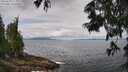 ./images/koeye/fitz-hugh/20250628/fitz-hugh20250628_114011M.jpg