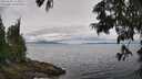 ./images/koeye/fitz-hugh/20250628/fitz-hugh20250628_115008M.jpg
