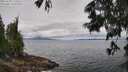 ./images/koeye/fitz-hugh/20250628/fitz-hugh20250628_115510M.jpg