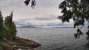 ./images/koeye/fitz-hugh/20250628/fitz-hugh20250628_120510M.jpg