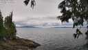 ./images/koeye/fitz-hugh/20250628/fitz-hugh20250628_121010M.jpg