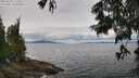 ./images/koeye/fitz-hugh/20250628/fitz-hugh20250628_121509M.jpg