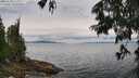 ./images/koeye/fitz-hugh/20250628/fitz-hugh20250628_123011M.jpg