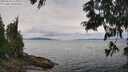 ./images/koeye/fitz-hugh/20250628/fitz-hugh20250628_124009M.jpg