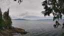 ./images/koeye/fitz-hugh/20250628/fitz-hugh20250628_124511M.jpg