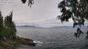 ./images/koeye/fitz-hugh/20250628/fitz-hugh20250628_125509M.jpg