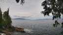 ./images/koeye/fitz-hugh/20250628/fitz-hugh20250628_130509M.jpg