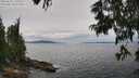 ./images/koeye/fitz-hugh/20250628/fitz-hugh20250628_132510M.jpg
