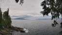 ./images/koeye/fitz-hugh/20250628/fitz-hugh20250628_133511M.jpg