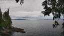 ./images/koeye/fitz-hugh/20250628/fitz-hugh20250628_134511M.jpg