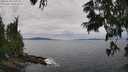 ./images/koeye/fitz-hugh/20250628/fitz-hugh20250628_135009M.jpg