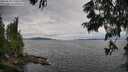 ./images/koeye/fitz-hugh/20250628/fitz-hugh20250628_141010M.jpg