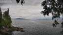 ./images/koeye/fitz-hugh/20250628/fitz-hugh20250628_141510M.jpg