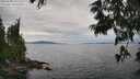 ./images/koeye/fitz-hugh/20250628/fitz-hugh20250628_142510M.jpg