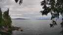 ./images/koeye/fitz-hugh/20250628/fitz-hugh20250628_144510M.jpg
