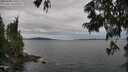 ./images/koeye/fitz-hugh/20250628/fitz-hugh20250628_145510M.jpg