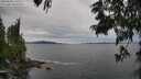 ./images/koeye/fitz-hugh/20250628/fitz-hugh20250628_150012M.jpg