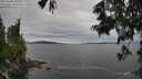 ./images/koeye/fitz-hugh/20250628/fitz-hugh20250628_150509M.jpg