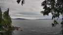 ./images/koeye/fitz-hugh/20250628/fitz-hugh20250628_151011M.jpg