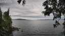 ./images/koeye/fitz-hugh/20250628/fitz-hugh20250628_153510M.jpg