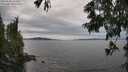 ./images/koeye/fitz-hugh/20250628/fitz-hugh20250628_154511M.jpg