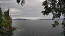 ./images/koeye/fitz-hugh/20250628/fitz-hugh20250628_160510M.jpg