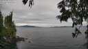 ./images/koeye/fitz-hugh/20250628/fitz-hugh20250628_163008M.jpg