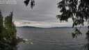 ./images/koeye/fitz-hugh/20250628/fitz-hugh20250628_164511M.jpg