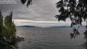 ./images/koeye/fitz-hugh/20250628/fitz-hugh20250628_165510M.jpg