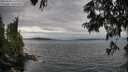 ./images/koeye/fitz-hugh/20250628/fitz-hugh20250628_170012M.jpg