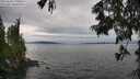 ./images/koeye/fitz-hugh/20250628/fitz-hugh20250628_170510M.jpg