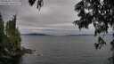 ./images/koeye/fitz-hugh/20250628/fitz-hugh20250628_172510M.jpg