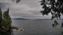 ./images/koeye/fitz-hugh/20250628/fitz-hugh20250628_173510M.jpg