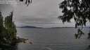 ./images/koeye/fitz-hugh/20250628/fitz-hugh20250628_174010M.jpg