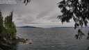 ./images/koeye/fitz-hugh/20250628/fitz-hugh20250628_175509M.jpg