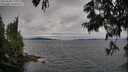 ./images/koeye/fitz-hugh/20250628/fitz-hugh20250628_180012M.jpg