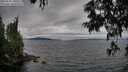 ./images/koeye/fitz-hugh/20250628/fitz-hugh20250628_180509M.jpg