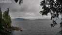 ./images/koeye/fitz-hugh/20250628/fitz-hugh20250628_183508M.jpg